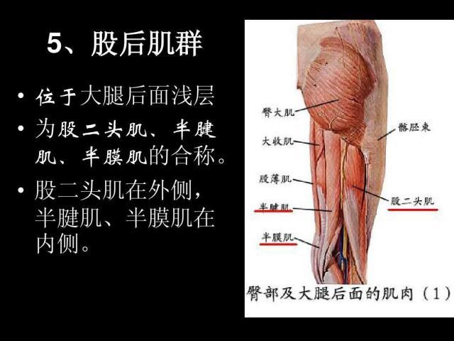 阿尔卡拉斯和德约的共同体会：大腿后侧太重要了！